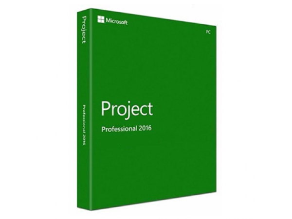 Project Pro 2016 32-bit/x64 English EM DVD